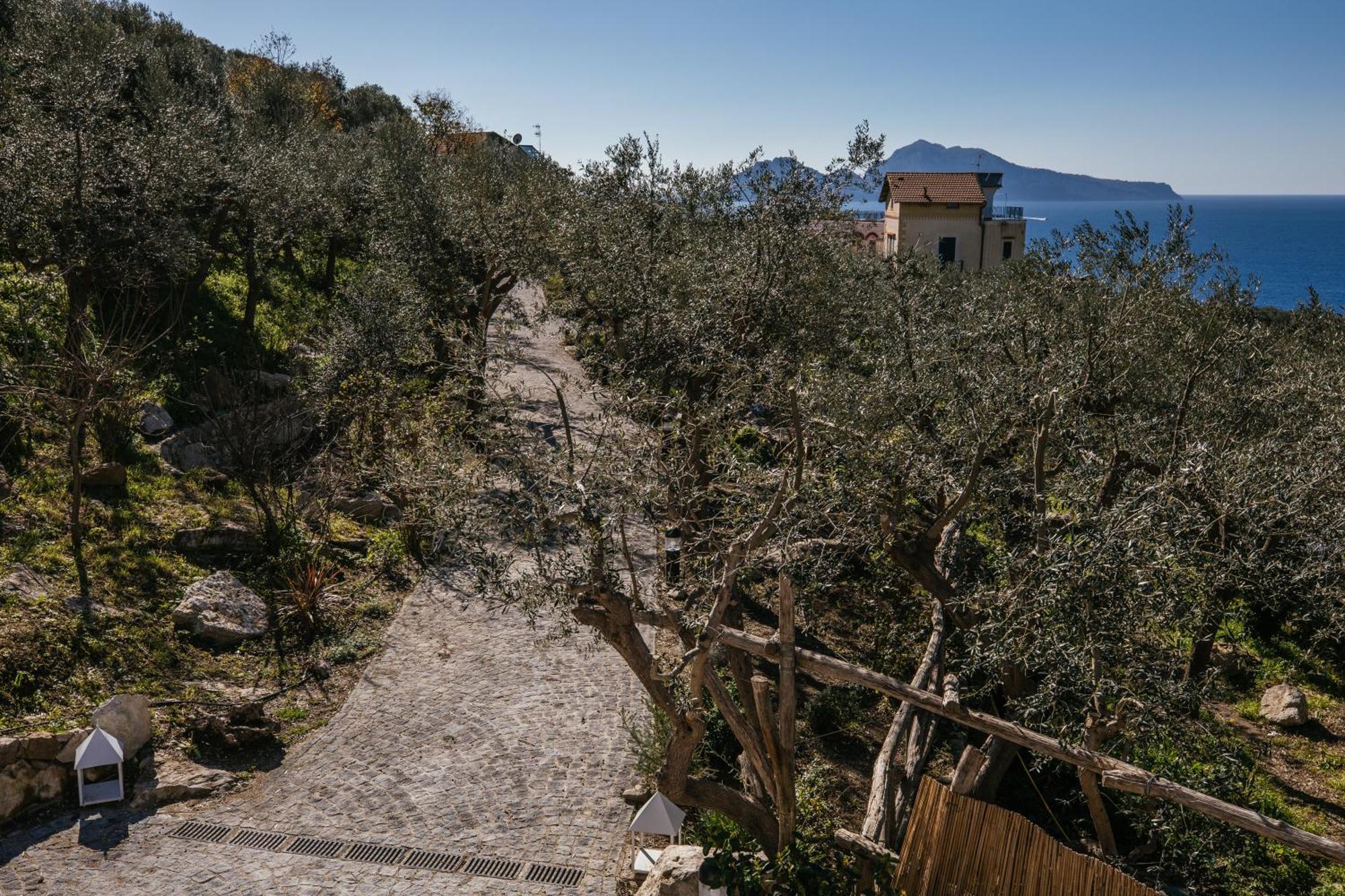 Melrose Relais Ξενοδοχείο Massa Lubrense Εξωτερικό φωτογραφία